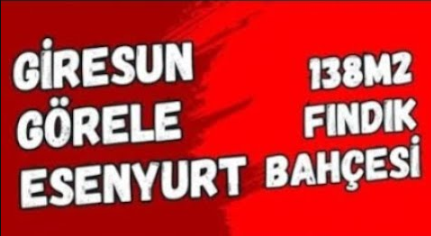 GİRESUN GÖRELE ESENYURT KÖYÜNDE 136M² FINDIK BAHÇESİ SATILIKTIR - GİRESUN GÖRELE fotoğraf 10